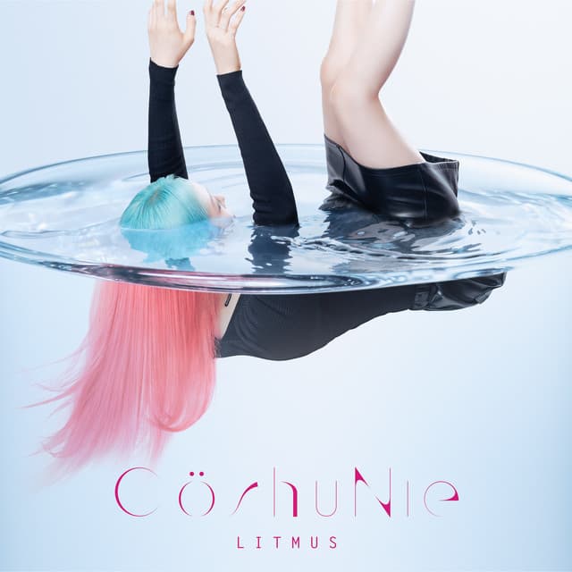 水槽のフール cover art