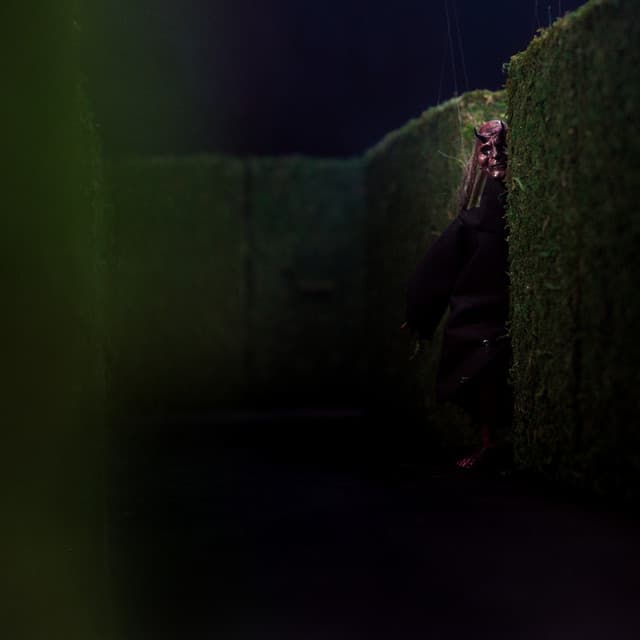 Eyes cover art