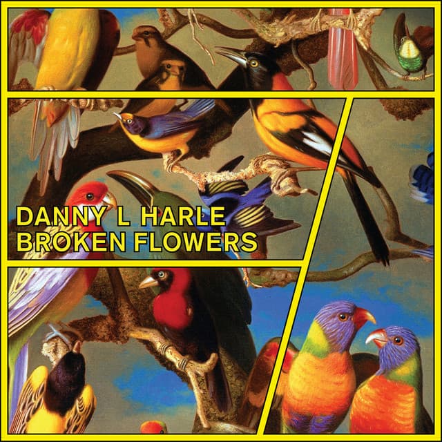 Awake for Hours cover art