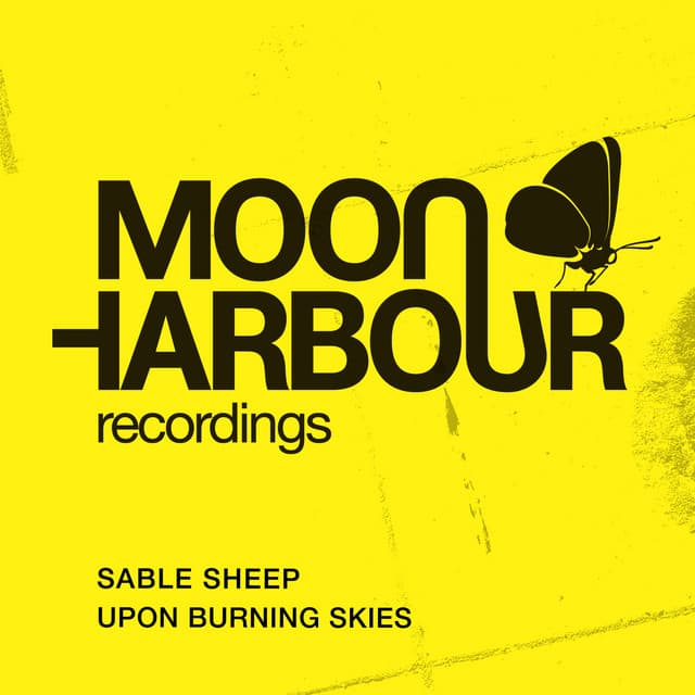 Upon Burning Skies cover art