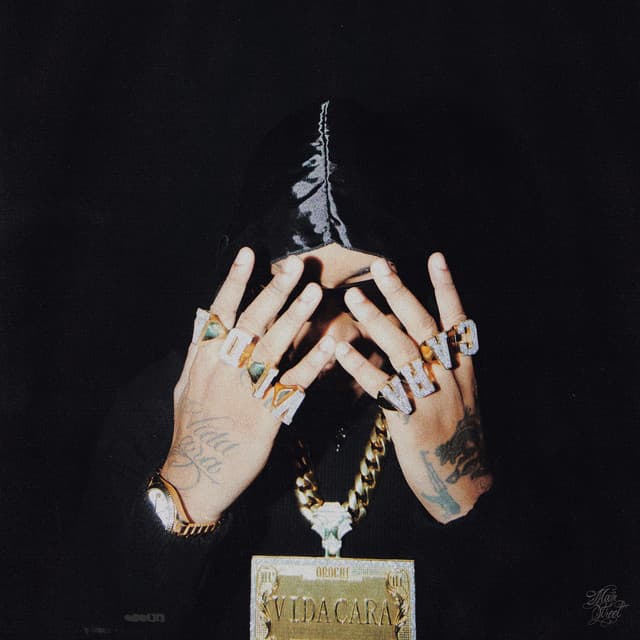 Fashion cover art