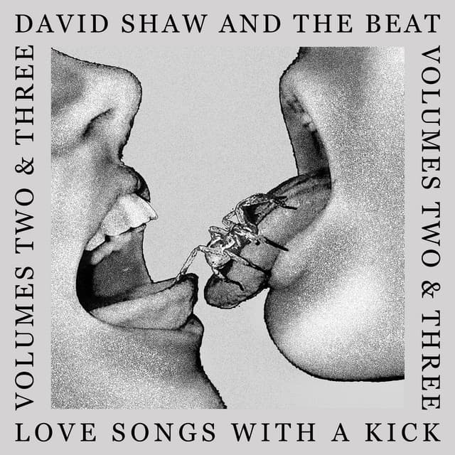 Love Songs With A Kick Vol. Two & Three cover art