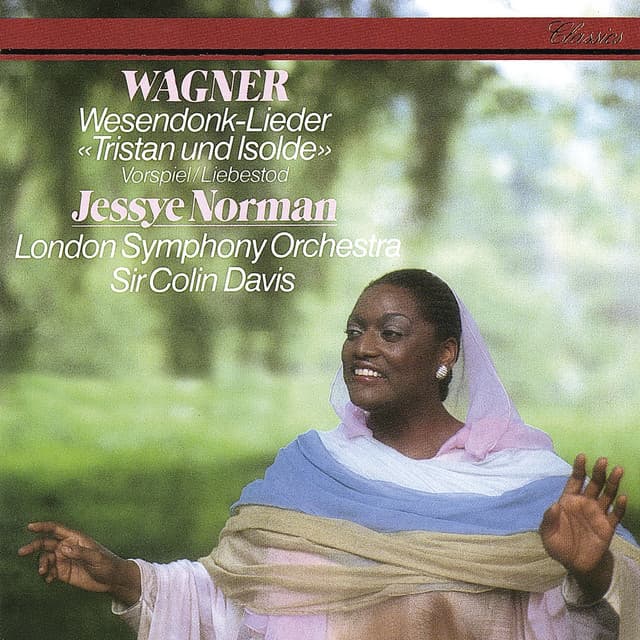 Wesendonck Lieder, WWV 91 (Orch. Mottl): II. Stehe still cover art