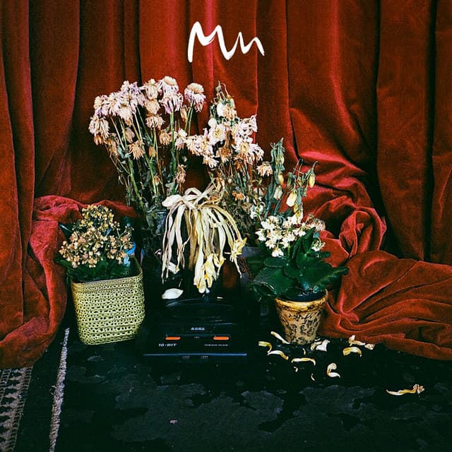 Beta Songs cover art