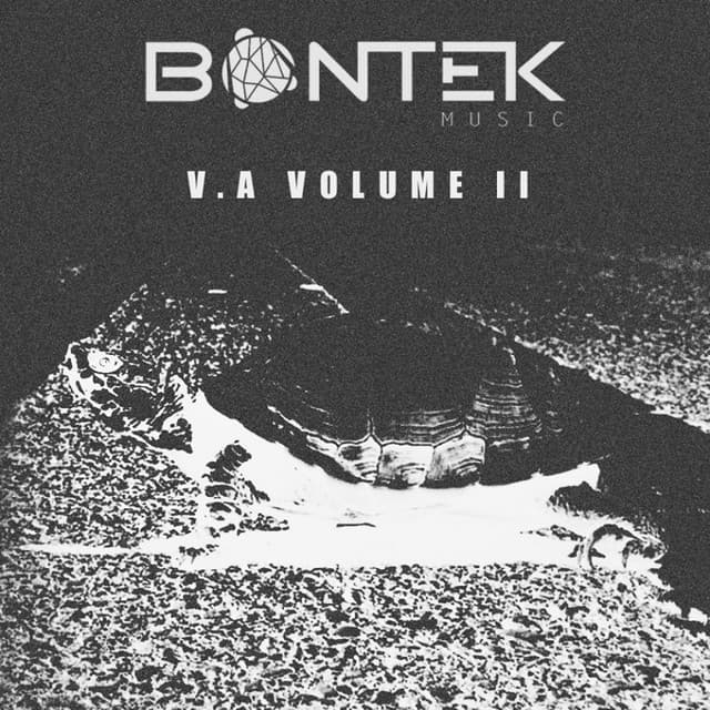 The Whole Shit S' Gone Wrong cover art