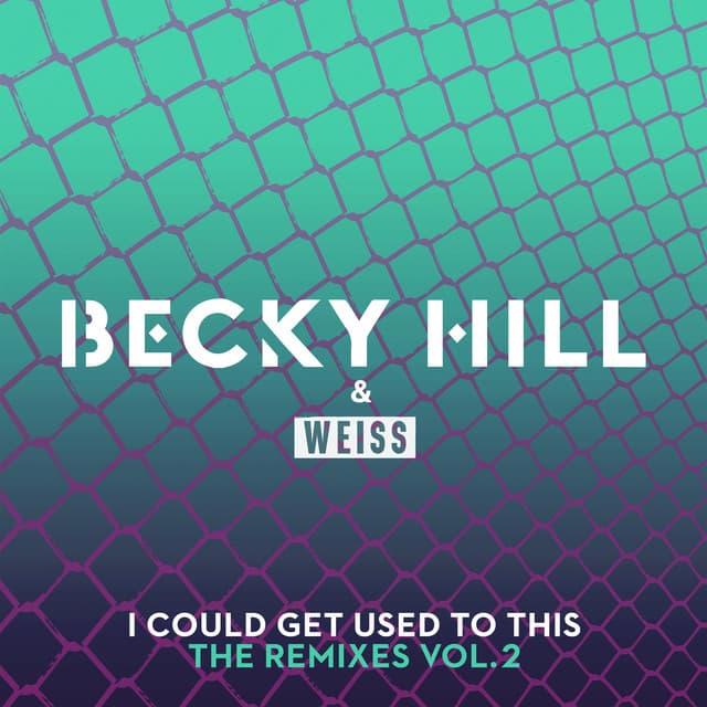 I Could Get Used To This - Paul Woolford Remix cover art