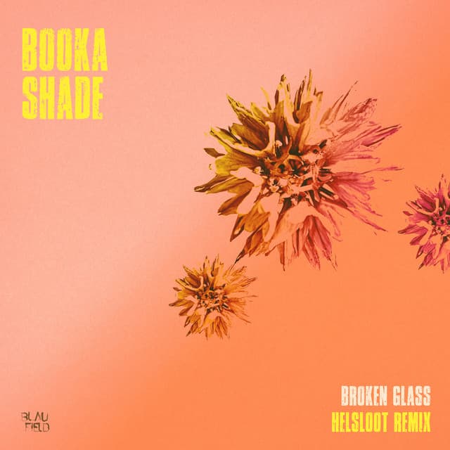 Broken Glass - Helsloot Extended Remix cover art