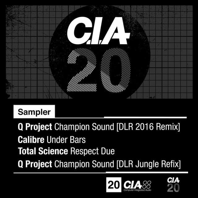 Champion Sound - DLR 2016 Remix cover art