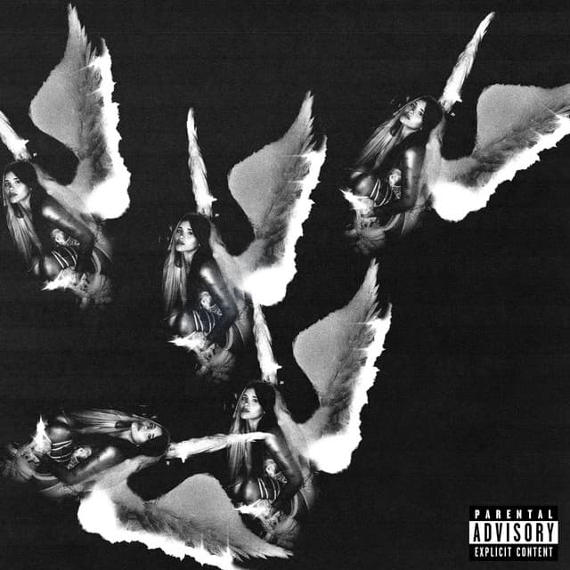 505 cover art