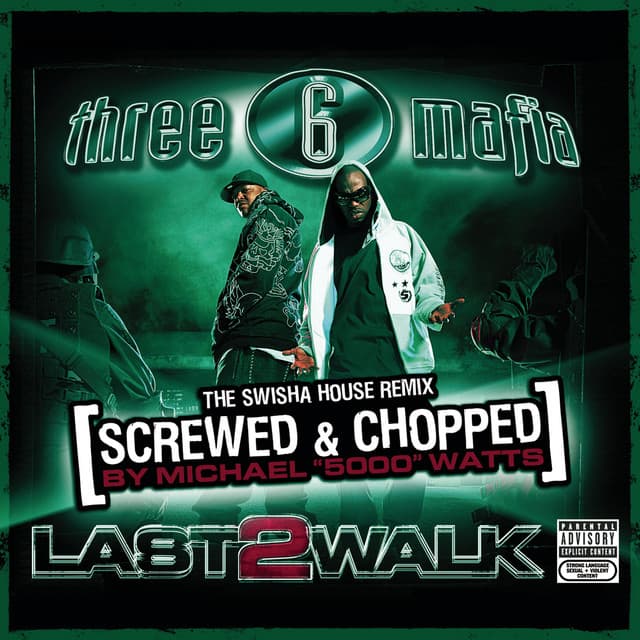 First 48 (feat. Project Pat, Spanish Fly, Al Kapone, Eightball & MJG) - Screwed & Chopped cover art