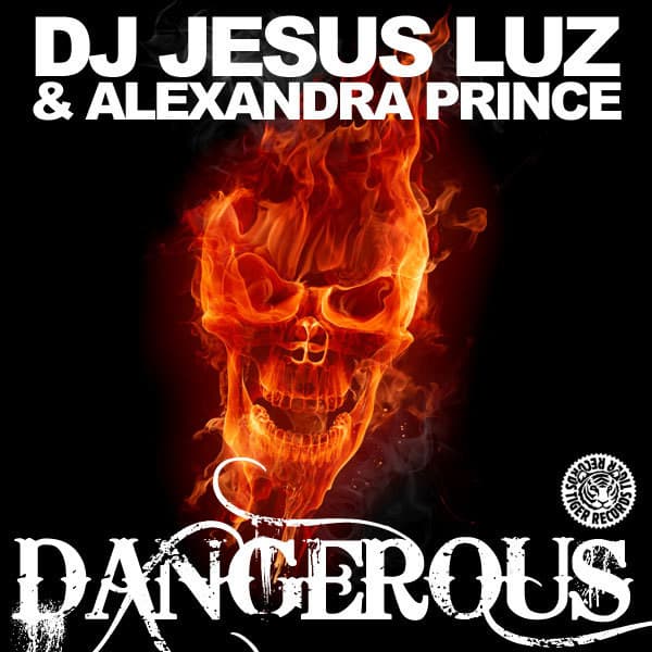 Dangerous - Radio Edit cover art