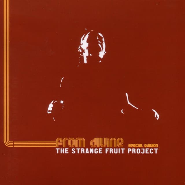 Maintain - Liquid Soul Remix cover art