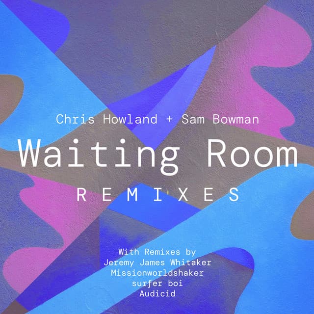 Waiting Room (Audicid Remix) cover art