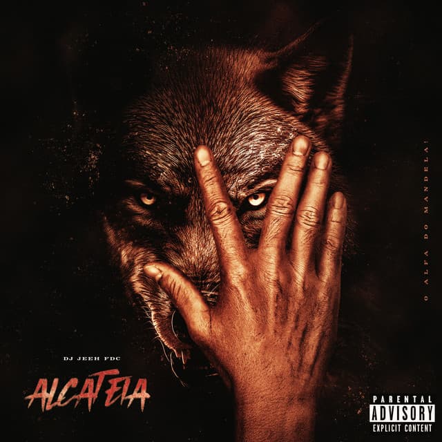 Na Picotinha cover art