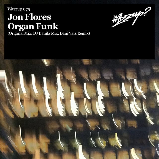 Organ Funk - Dani Vars Remix cover art