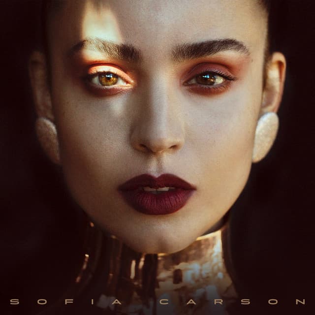 Stay cover art