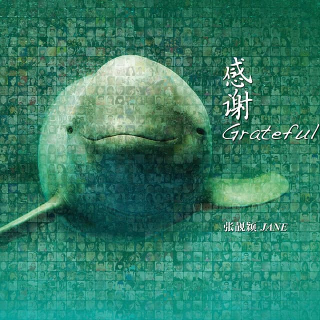 亿声祝福 cover art