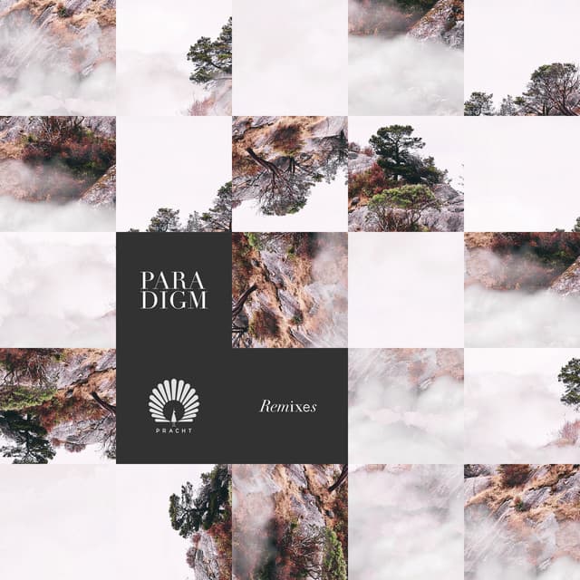 Paradigm Remixes cover art