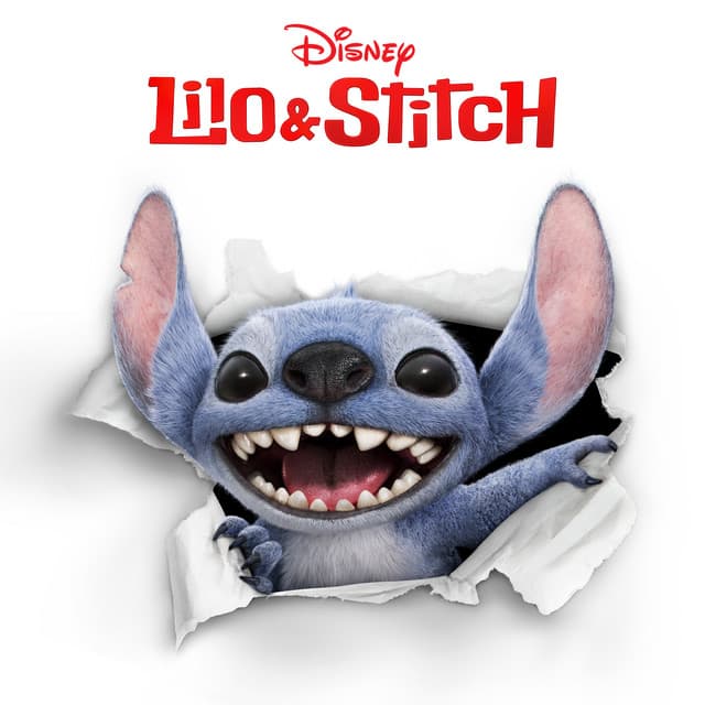 Hawaiian Roller Coaster Ride cover art