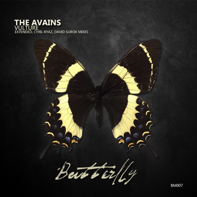 Vulture - David Surok Remix cover art