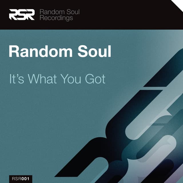 It's What You Got - Yogi & Husky's Dub cover art