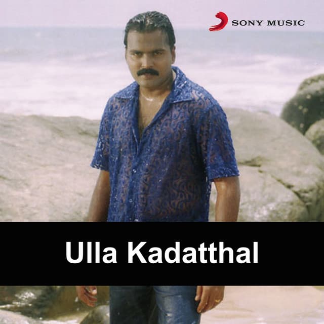 Pattaam Pattaam Poochigal cover art