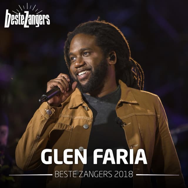 Beste Zangers 2018 (Glen Faria) cover art