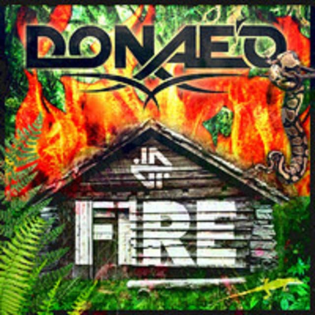 Fire - Afro Beat Mix cover art