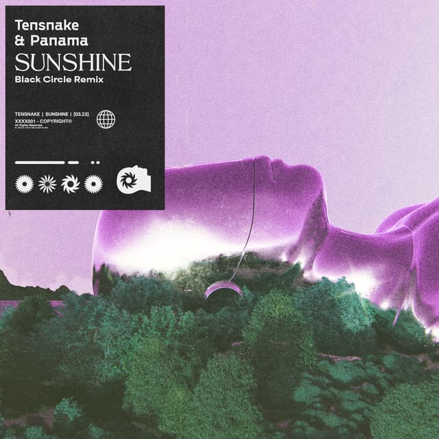 Sunshine (Black Circle Remix) cover art