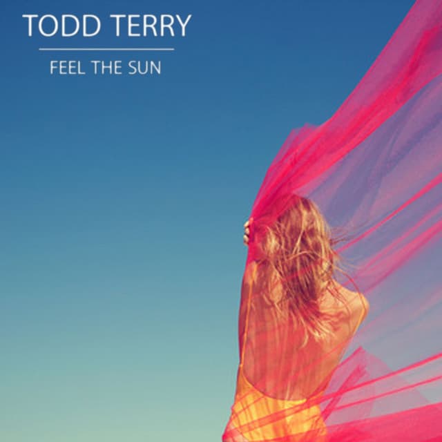 Feel the Sun cover art