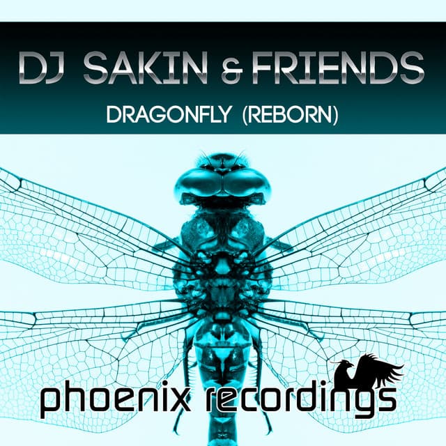 Dragonfly - Madwave Remix Instrumental cover art