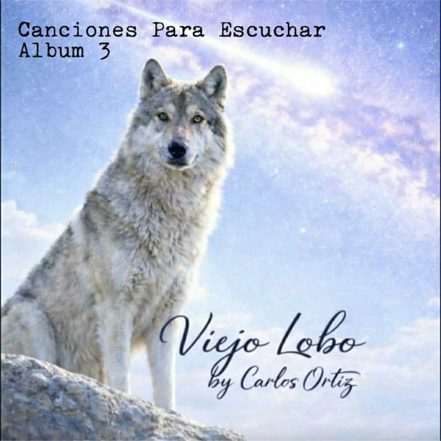 Esta vida que llevo... cover art