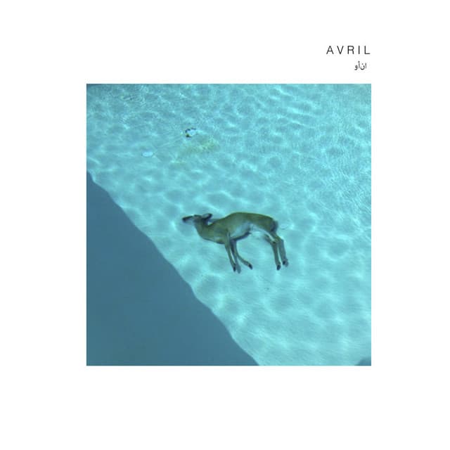 Loaded cover art
