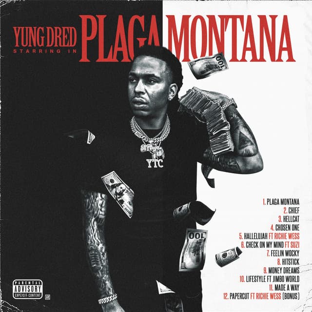 Plaga Montana cover art