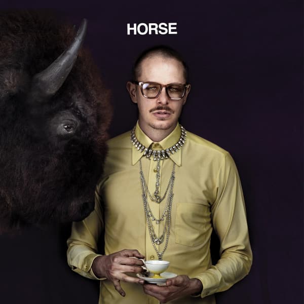 Horse cover art