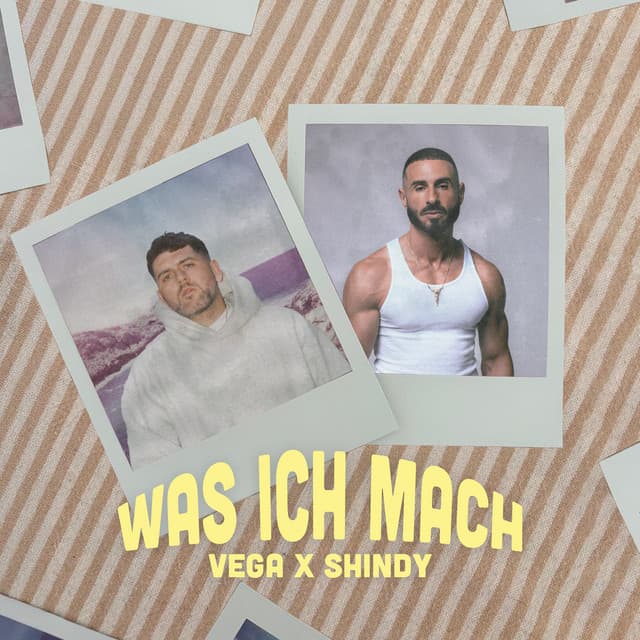 Was ich mach cover art