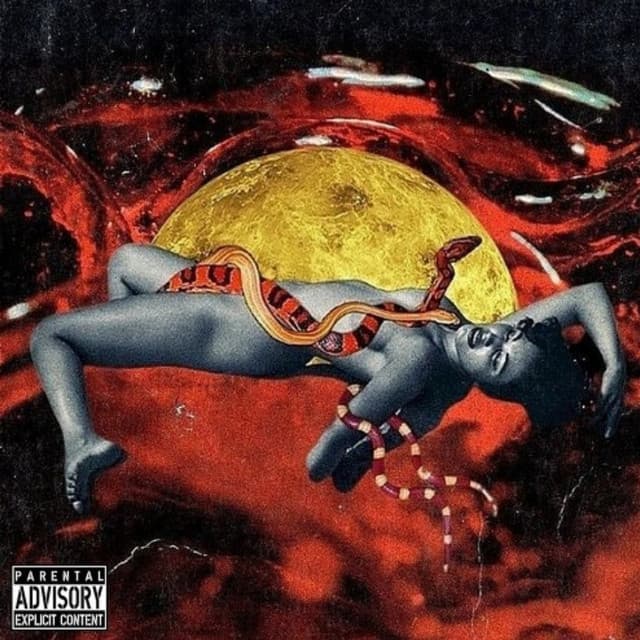 Face Mask cover art