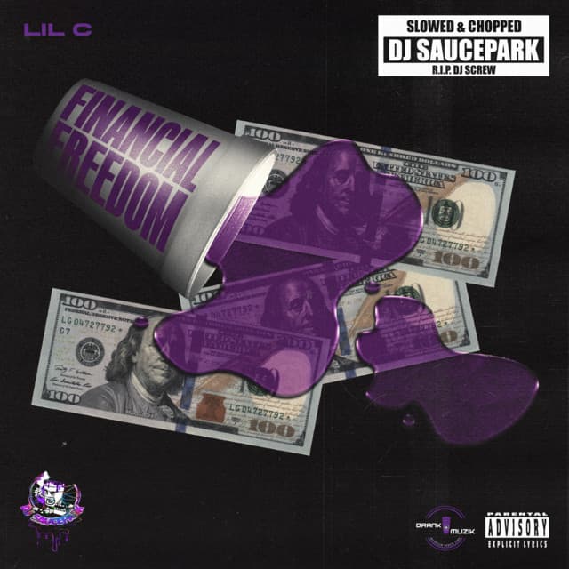 Financial Freedom (Slowed & Chopped) cover art