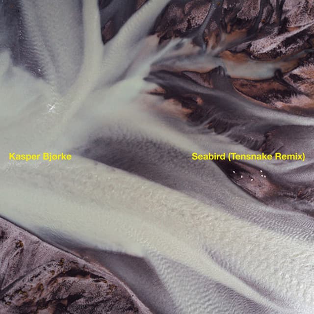 Seabird - Tensnake Remix Edit cover art