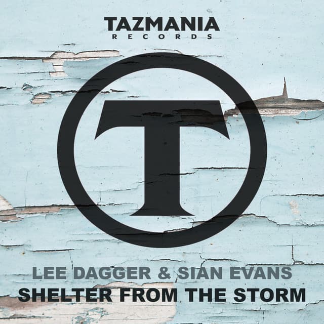 Shelter From The Storm - LD DEEP/Chill Remix cover art